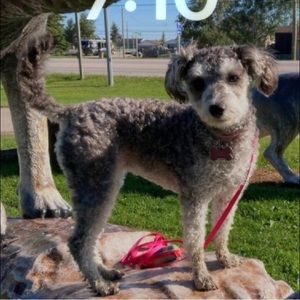 Meet your Posher, Micheline